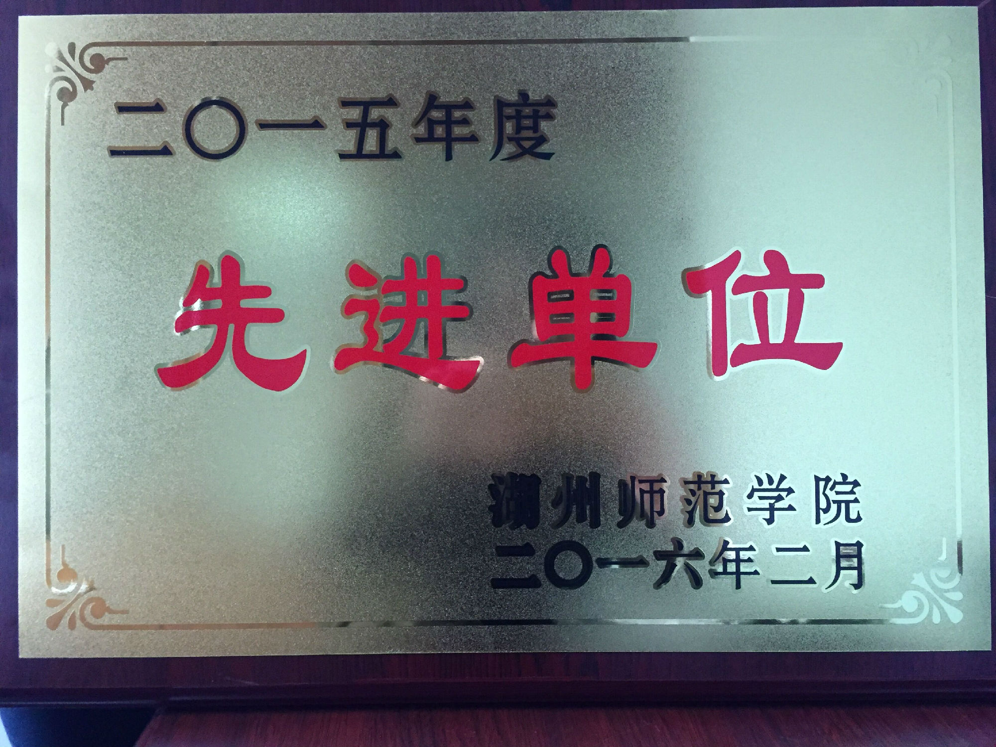 2015先进牌.jpg